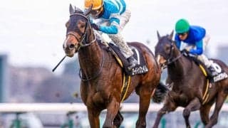 【スプリングS予想】雨予報で浮上する激走注目馬が3頭！ 2年連続穴馬が勝利中の狙い目重賞を獲る/JRAレース展望