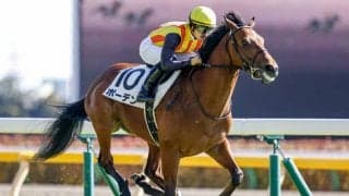 【スプリングS前日オッズ】ボーデンが3.0倍で1番人気