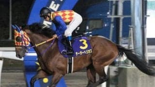 【JRA】9歳馬テーオーヘリオスが登録抹消、佐賀競馬へ移籍　2018年北海道スプリントC覇者