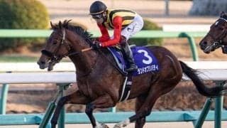 【スプリングS・馬体重】ランドオブリバティは464kg(-4)、ボーデンは480kg(-2)