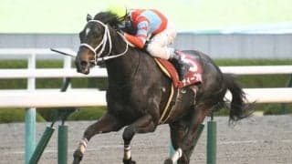 【阪神大賞典結果】ディープボンドが5馬身差Vで重賞2勝目　アリストテレスは7着