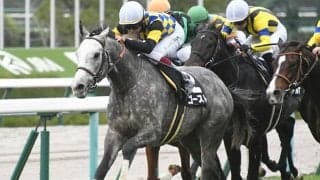 【阪神大賞典】競走中止のゴーストは心房細動