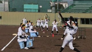 初代主将が語る阪神Womenの実情　プロと変わらぬ練習環境「申し分ない」