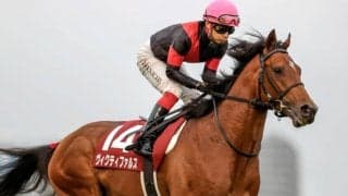 【勝負の分かれ目 スプリングS】池添騎手の好リードでヴィクティファルスが皐月賞の有力候補に