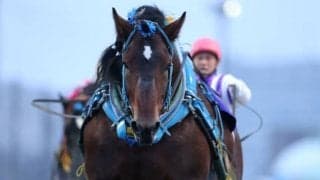 【ばんえい記念結果】ホクショウマサルが差し切りV！ 昨年3着の雪辱果たす