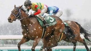 【マリーンC】フェアリーポルカ、マドラスチェックなどJRA出走予定馬が発表