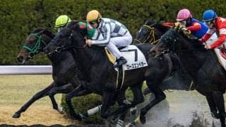 【阪神3R】断然人気ローズエンペラーが初勝利