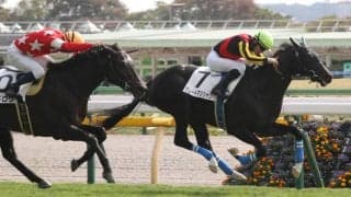 【毎日杯登録馬】良血ルペルカーリアなど12頭が登録