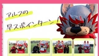 【連載】アルフの早スポインターン！