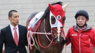 【日経賞】ステイフーリッシュはフレグモーネのため回避