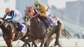 【大井・京浜盃結果】チサットが差し切って重賞初V！　クラシックへ名乗り