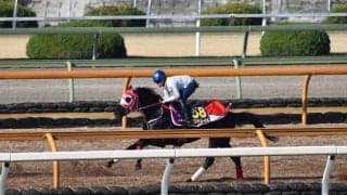 コントレイル、大阪杯1週前追い切り速報/栗東トレセンニュース