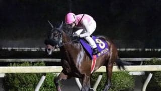 【地方競馬】高知の注目3歳馬を紹介！ハルノインパクト「生え抜きの活躍馬に注目」