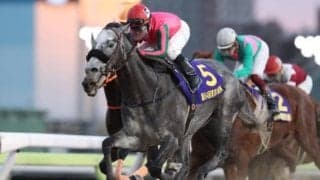 【次走】オメガパフュームは帝王賞へ