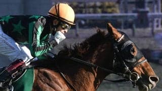 【高松宮記念】シヴァージが回避、アウィルアウェイが出走可能に