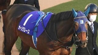 【次走】オーソクレースは引き続きC.ルメール騎手とのコンビで皐月賞へ