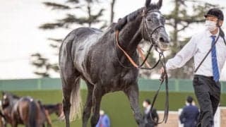 【ドバイシーマクラシック】日本の牝馬2頭はともに外目からの発走