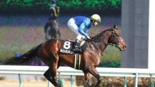 【高松宮記念展望】春の短距離王決定戦、今年もタフな馬場状態がカギに