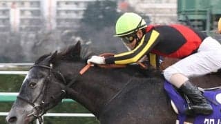 【ドバイシーマクラシック】出馬表確定