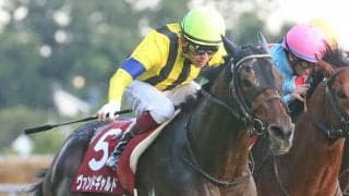 【ドバイターフ】出馬表確定