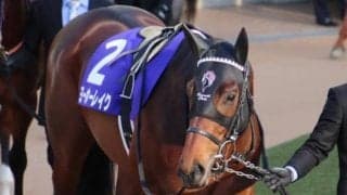 【次走】武豊騎手骨折のためヨーホーレイクは岩田望来騎手との新コンビで皐月賞へ