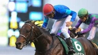 高松宮記念は近年「大荒れ」傾向。その理由を知る穴党記者が２頭を推す