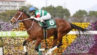 【高松宮記念】レシステンシアは8枠16番