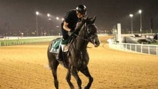 ２年ぶりのドバイWC。クロノジェネシスら日本馬に激走の気配！