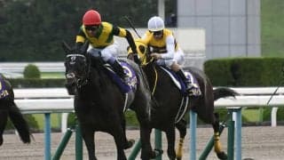 【日経賞予想】中山伝統の一戦を制するのは格上の意地か？ 実績馬の勢いか？