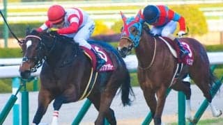 【高松宮記念予想】牝馬5頭が消去条件に！ フルゲートのポジション争いに負けないのは？ /JRAレース展望