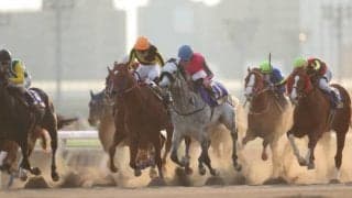 大井競馬、今年度の総売得金は1728億円　1日平均は過去最高額に！ 開催執務委員長「これからも日本を明るく元気にできるように全力で」