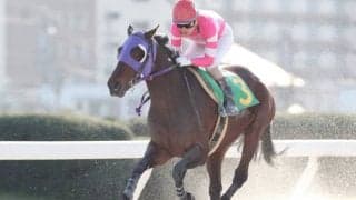 【アクアマリンOP】ナムラマホーホが人気に応え快勝、カツゲキキトキト5着