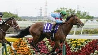 高松宮記念はサイン馬券で勝負。聖火リレーのスタートは何かの暗号か？