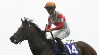 【勝負の分かれ目 高松宮記念】川田騎手の冷静な騎乗でダノンスマッシュがGI連勝