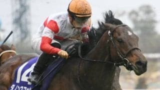 【JRA・WIN5】今週は的中9票、配当は6422万3700円に