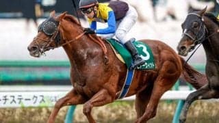 【マーチS結果】レピアーウィットが押し切り重賞初V　アメリカンシードは14着