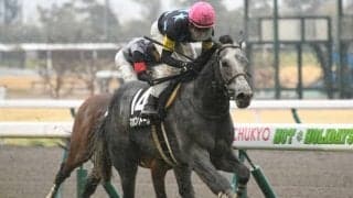 【大寒桜賞結果】マカオンドールが早め進出から抜け出しV