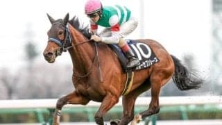 【ミモザ賞結果】スルーセブンシーズが人気に応えて快勝