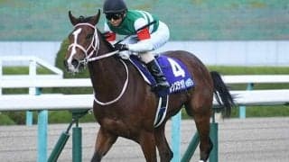 【高松宮記念 13時時点オッズ】レシステンシアが単勝3.5倍で1番人気、ダノンスマッシュが5.3倍で続く