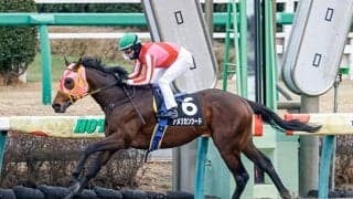 【マーチS予想】ダート界のニュースター誕生!? 恵まれたハンデを生かせるか？