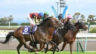 【本日の注目ポイント】春の短距離王決定戦・高松宮記念