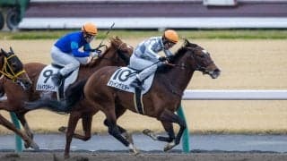 【中京3R】良血マンインザミラーが初勝利