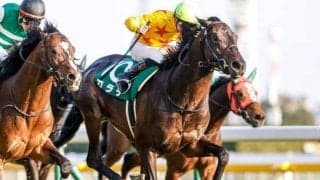 【ダービー卿CT展望】好走条件に合うあの馬に期待したい