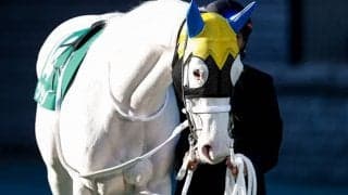 【桜花賞出走馬決定順】フルゲート18頭に24頭の登録　抽選は2/4に