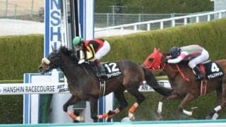 【コーラルSハンデ確定】グレートウォリアーは55.0kg、デザートストームは56.0kg