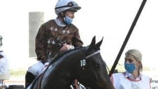 ドバイで2着のミシェル騎手、相棒ヴァルデルベに「レースを使うごとに彼は進化していき、成長が止まりません」