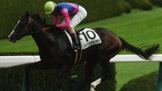 【先週のJRA抹消馬】ダート1200m戦5勝のメイショウテンセイ、ヌーヴォレコルトの全弟オーケストラなど