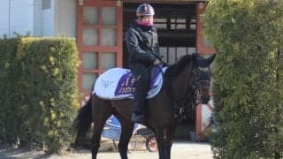 【高松宮記念】一夜明け、ダノンスマッシュ陣営「馬に頭が上がりません」