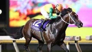 【スーパースプリントシリーズ2021】1000m以下のレースのみで構成、ファイナルは習志野きらっとスプリント