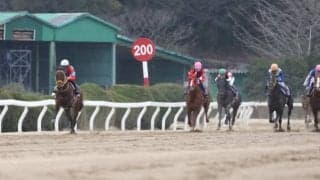 売得金額492億円で佐賀競馬の年間記録更新　在宅投票、ナイター開催で大幅増